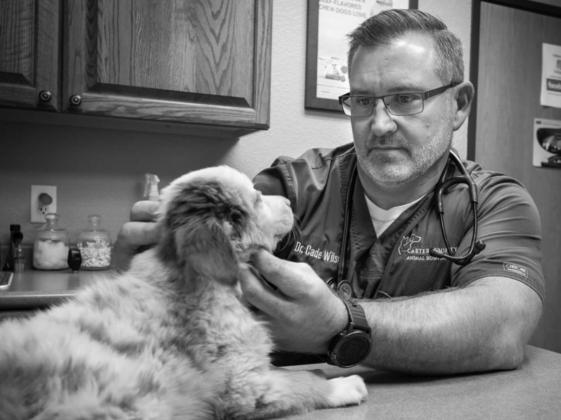 Veterinarians, Pet Owners Struggle With Payment Plans