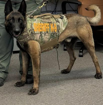 Cotton County Sheriff’s Office K9s Axle And Odin Have Received Donation Of Body Armor