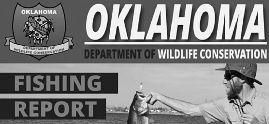 	Fishing Report for February 24, 2021 Winter Weather and Oklahoma Fisheries: Threadfin Shad